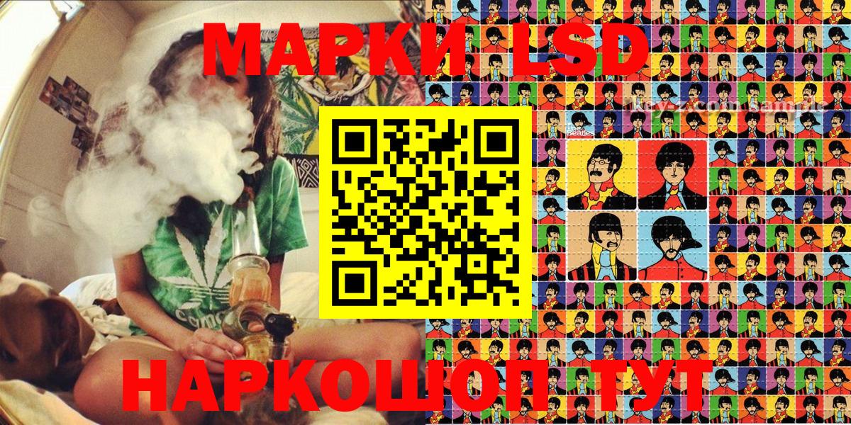 Бошки Шишки Геленджик
