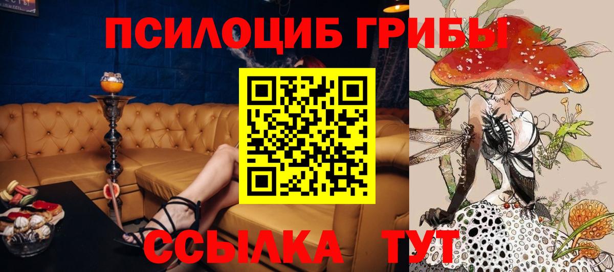 Псилоцибиновые грибы Magic Shrooms  Вход с VPN  Геленджик  Галлюциногенные грибы Cubensis 
